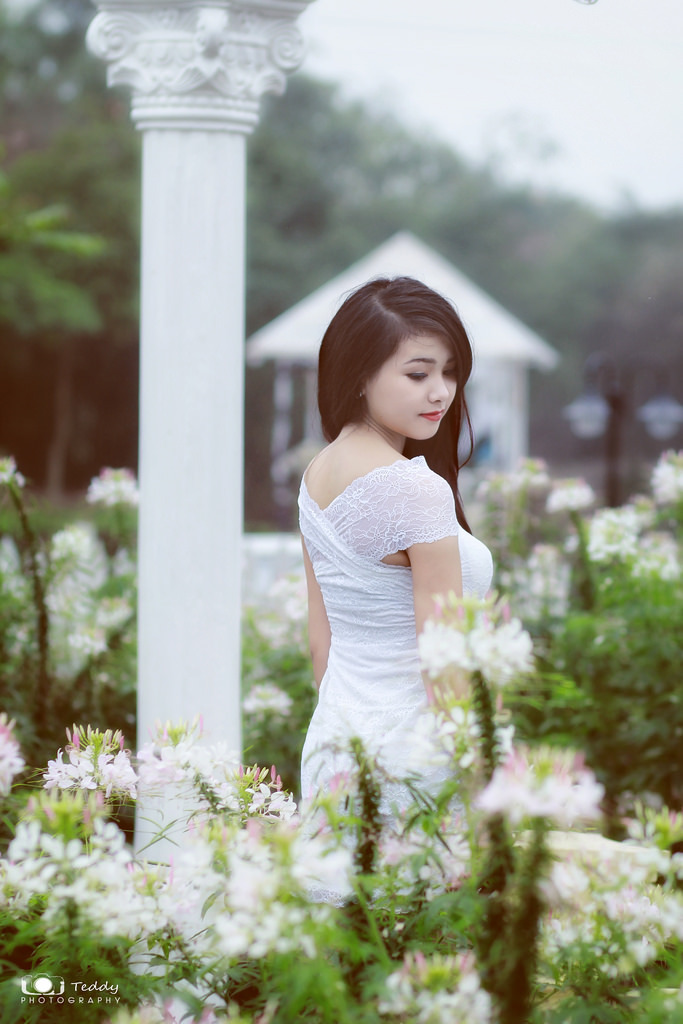 轻佻寡妇在线